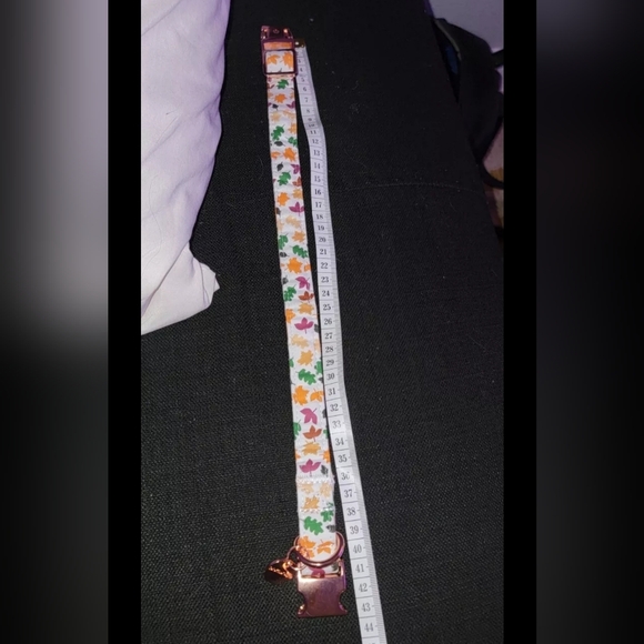 Dogwong Fall Collar With Flower XS/Small - Picture 5 of 8